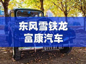 东风雪铁龙富康汽车  第1张