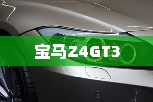 宝马Z4GT3  第1张