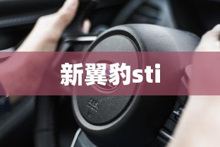 新翼豹sti  第1张
