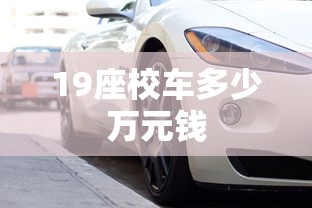 19座校车多少万元钱  第1张
