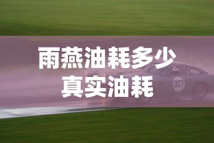 雨燕油耗多少真实油耗  第1张