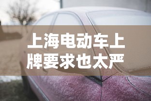 上海电动车上牌要求也太严了吧  第1张