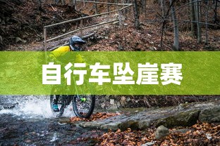自行车坠崖赛  第1张
