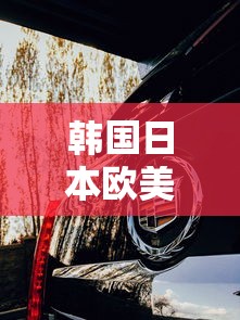 韩国日本欧美大尺寸suv视频  第1张