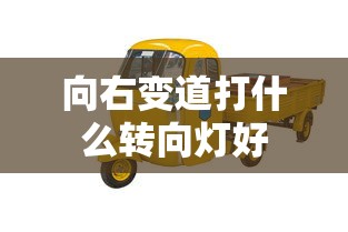 向右变道打什么转向灯好  第1张