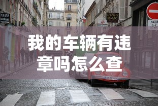 我的车辆有违章吗怎么查  第1张