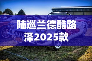 陆巡兰德酷路泽2025款  第1张