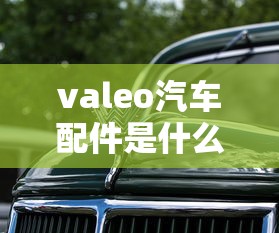valeo汽车配件是什么品牌  第1张
