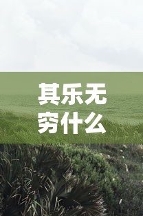 其乐无穷什么意思  第1张