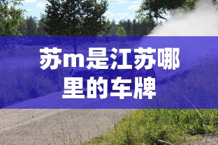 苏m是江苏哪里的车牌  第1张