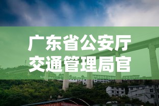 广东省公安厅交通管理局官网  第1张