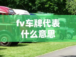 fv车牌代表什么意思  第1张