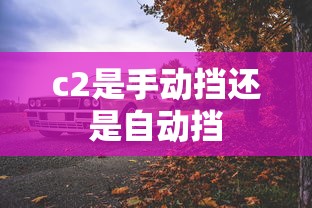 c2是手动挡还是自动挡  第1张