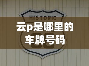 云p是哪里的车牌号码  第1张