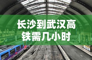 国产午夜aaa片无码无片久久  第1张