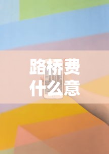 路桥费什么意思  第1张