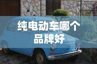 纯电动车哪个品牌好  第1张