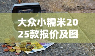 大众小糯米2025款报价及图片大全  第1张
