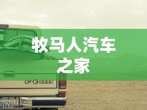 黎明杀机手游版官网  第1张