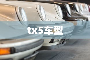 tx5车型  第1张