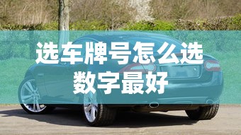 选车牌号怎么选数字最好  第1张