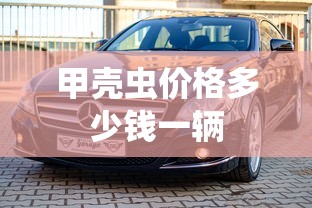 甲壳虫价格多少钱一辆  第1张