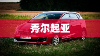 秀尔起亚  第1张