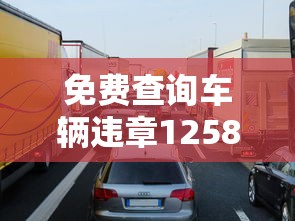免费查询车辆违章12580  第1张