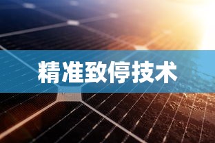 精准致停技术  第1张