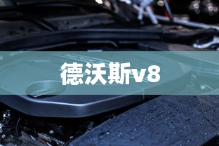 德沃斯v8  第1张