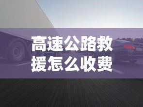 雄狮皮卡车报价及图片  第1张