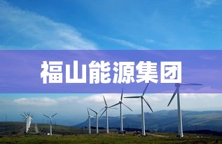 福山能源集团  第1张
