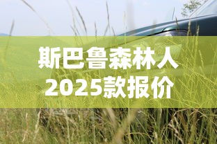 斯巴鲁森林人2025款报价及图片  第1张