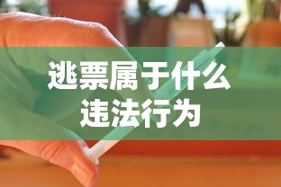 逃票属于什么违法行为  第1张