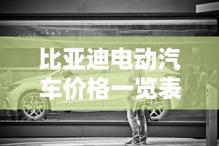 比亚迪电动汽车价格一览表  第1张