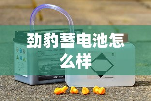 劲豹蓄电池怎么样  第1张