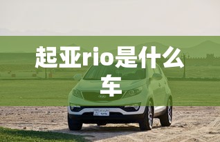 上海堡垒评分豆瓣  第1张