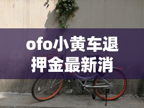 ofo小黄车退押金最新消息2024  第1张