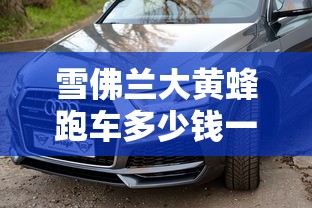 雪佛兰大黄蜂跑车多少钱一台  第1张