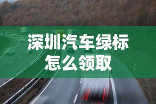深圳汽车绿标怎么领取  第1张