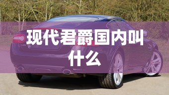 现代君爵国内叫什么  第1张