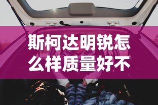 斯柯达明锐怎么样质量好不好  第1张