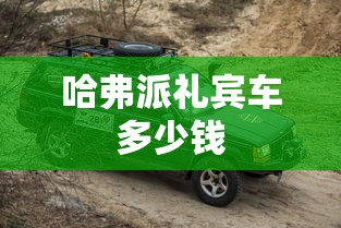 哈弗派礼宾车多少钱  第1张