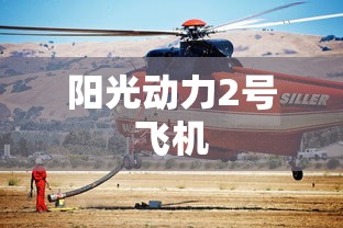 1371违法代码是什么意思  第1张