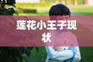 莲花小王子现状  第1张