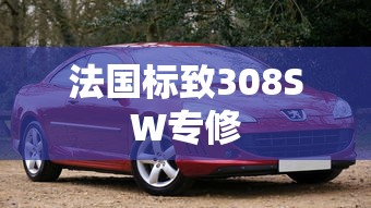 法国标致308SW专修  第1张
