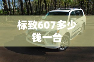 标致607多少钱一台  第1张