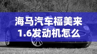 海马汽车福美来1.6发动机怎么样  第1张