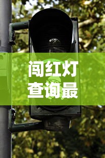 闯红灯查询最快的方法  第1张