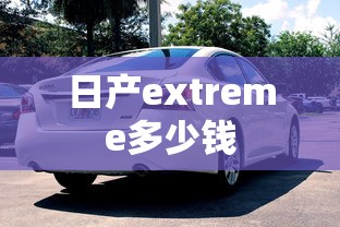 日产extreme多少钱  第1张